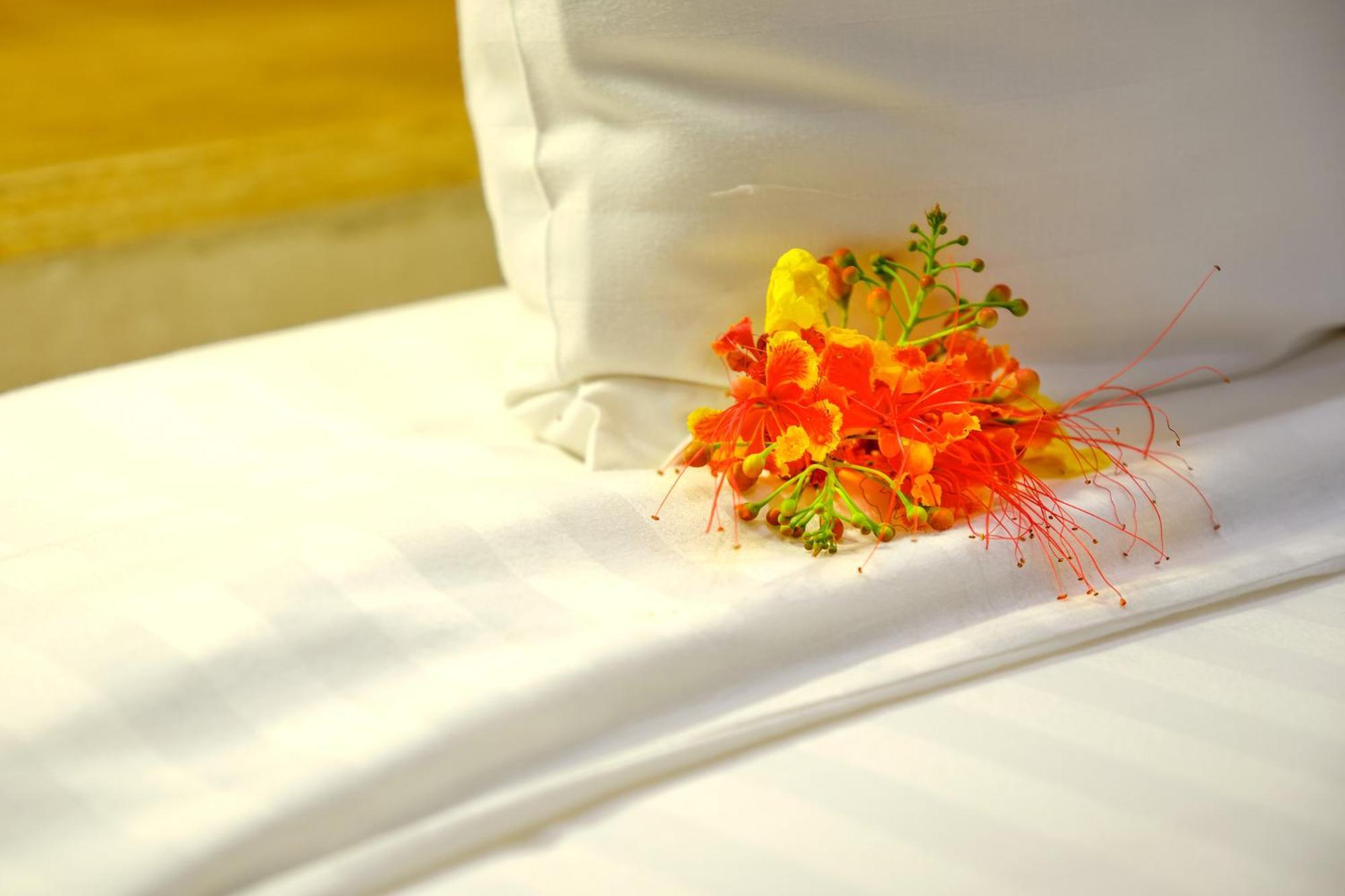 Hotel Royam Saly Portudal Zewnętrze zdjęcie